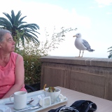 Photo de profil de Helene Airault