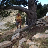 Photo de profil de Guy Gallo