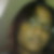 Photo de profil de Daniella Minfardi