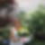 Photo de profil de Roseline Suinat
