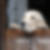 Photo de profil de Frederic Mairey