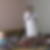 Photo de profil de Monque Pimonow