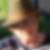 Photo de profil de Annie Derollez
