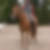 Photo de profil de Anne Savale-Servant