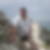 Photo de profil de Doutrelong Bernard