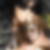 Photo de profil de Laurence Girot
