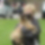 Photo de profil de Eliane Moreno