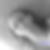 Photo de profil de Jennifer Martin