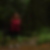 Photo de profil de Marion Rigondet