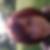 Photo de profil de Elisa Derynck