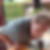 Photo de profil de Gerard Buriez