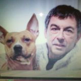 Photo de profil de Gilles Avril