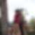 Photo de profil de Brice Barthel