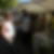 Photo de profil de Myriam Ceccone