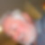 Photo de profil de Henri Laher