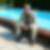 Photo de profil de Alain Guerard