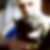 Photo de profil de Dominique Grandjean