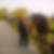 Photo de profil de Raymond Guillemet