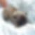 Photo de profil de Christine Boutin