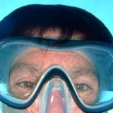 Photo de profil de Dominique Albertini