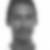 Photo de profil de Max Datil