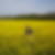 Photo de profil de Christian Bideau