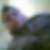 Photo de profil de Osman Catalbas