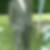 Photo de profil de Claude Bénarroche