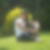 Photo de profil de Francoise Baglio
