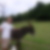 Photo de profil de Georges Petit