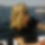 Photo de profil de Francine Musnier