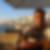 Photo de profil de Djamel Benama