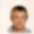 Photo de profil de Michel Camuzeaux