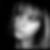 Photo de profil de Laure Herbin