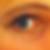 Photo de profil de Julie Caboche