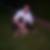 Photo de profil de Wilfried Riveneau