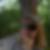 Photo de profil de Catherine Mathon
