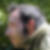 Photo de profil de Trannoy Guillaume