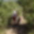 Photo de profil de Joelle Bak