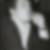 Photo de profil de Marc-Etienne Lansade