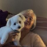 Photo de profil de Jacqueline Clement