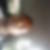 Photo de profil de Moutouin Issouf