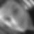 Photo de profil de Frederic Fortin