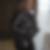 Photo de profil de Candide Museghe-Gafutshi