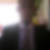 Photo de profil de Yannick Signor