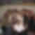 Photo de profil de Robert Leonard