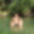Photo de profil de James Da Conceicao