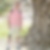 Photo de profil de Alain Donguy