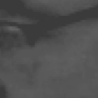 Photo de profil de Marc Hardouin