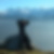 Photo de profil de Raymond Deneuvy
